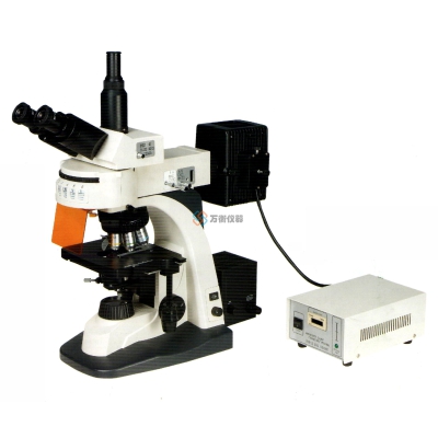 M60 落射无限远荧光显微镜